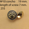 Concho Belt DIY Leatherworking. Size 19 mm. Concho 10